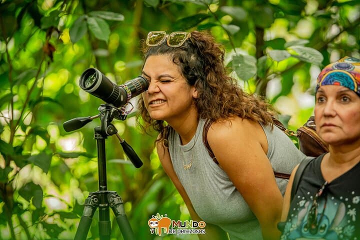 La Fortuna Sloth & Wildlife Walk — 90-Minute Rainforest Tour for Birds, Frogs & Photography photo 2