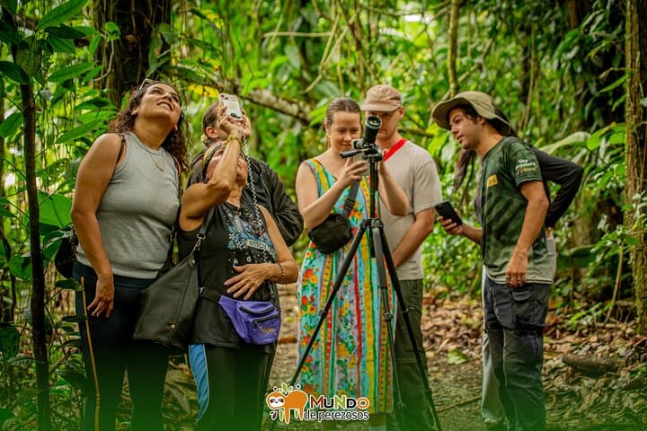La Fortuna Sloth & Wildlife Walk — 90-Minute Rainforest Tour for Birds, Frogs & Photography photo 3