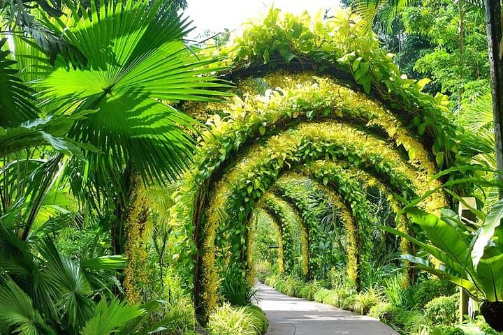 Singapore National Orchid Garden Tickets & Visitor Guide photo 3