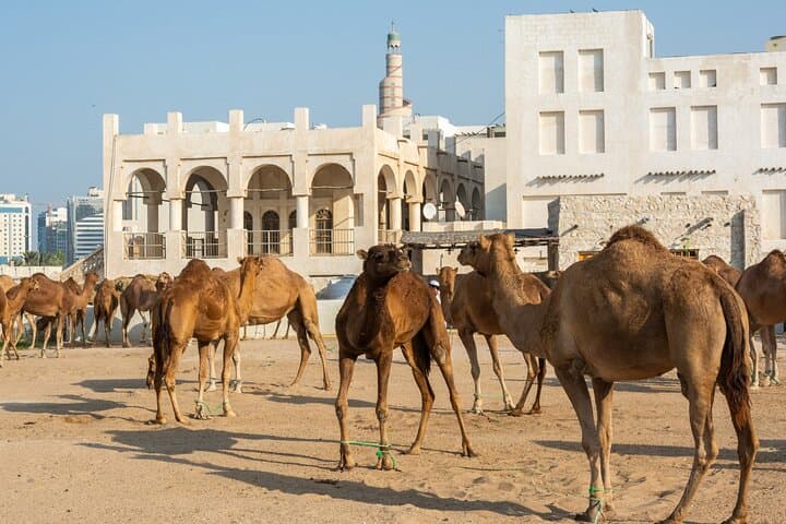 Explore Qatar in 48 Hours: Desert Dunes, Mangrove Kayaks & Doha Culture