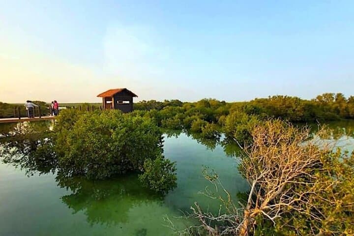 Explore Qatar in 48 Hours: Desert Dunes, Mangrove Kayaks & Doha Culture photo 6