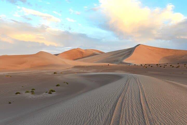 Doha Desert Safari: 4-Hour Dune Bashing, Camel Ride & Inland Sea Adventure photo 3