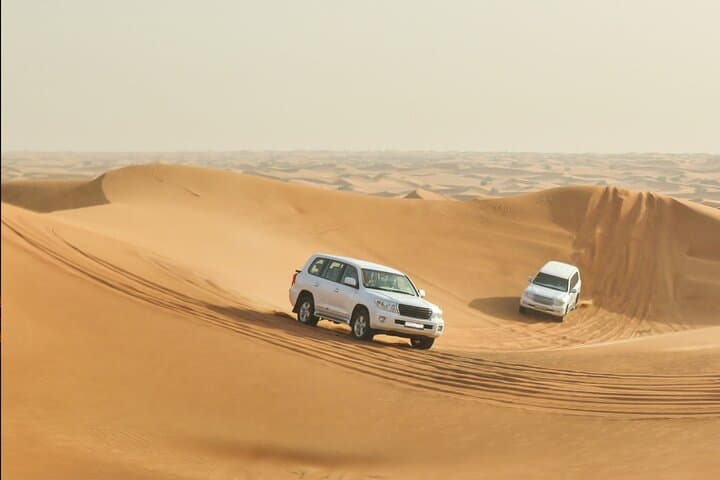 Doha Desert Safari: 4-Hour Dune Bashing, Camel Ride & Inland Sea Adventure