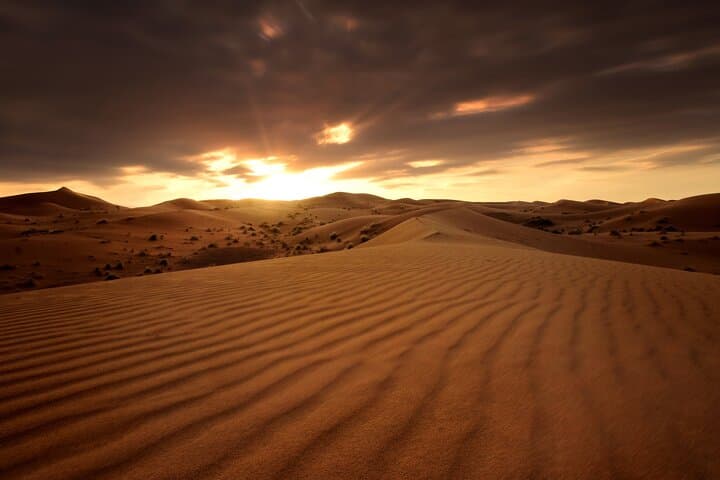 Qatar Desert Safari: Dune Bashing, Camel Rides & Inland Sea Adventure photo 2