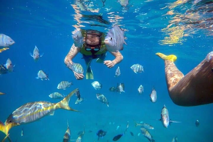 Sosua Beach Snorkeling: Explore Sosua Bay’s Clear Reefs on a Half-Day Excursion photo 2