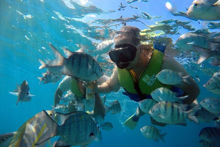 Sosua Beach Snorkeling: Explore Sosua Bay’s Clear Reefs on a Half-Day Excursion photo 3