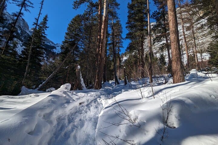 Fred Burr Snowshoe Tours: Guided Winter Walks in the Bitterroot Mountains photo 6