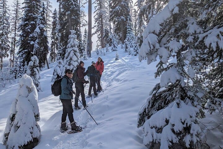 Fred Burr Snowshoe Tours: Guided Winter Walks in the Bitterroot Mountains