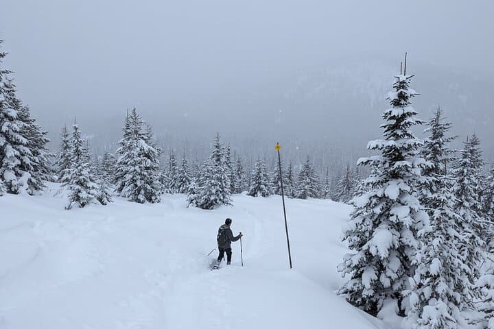 Fred Burr Snowshoe Tours: Guided Winter Walks in the Bitterroot Mountains photo 5