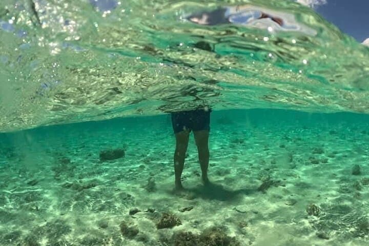 Full-Day Cayo Arena & Mangrove Boat Excursion from Puerto Plata photo 4