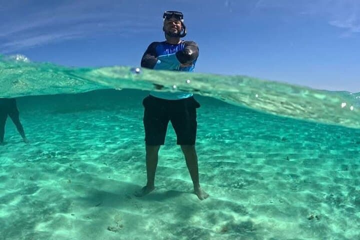 Full-Day Cayo Arena & Mangrove Boat Excursion from Puerto Plata photo 6