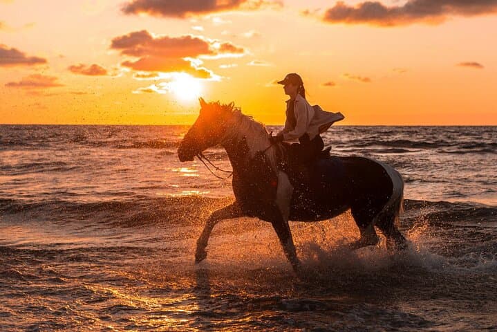 Horseback Riding in Punta Cana: Countryside Trails & Anamuya Views