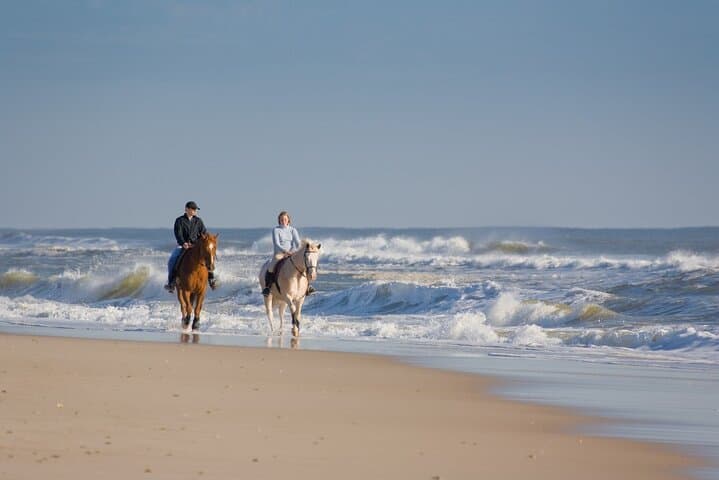 Horseback Riding in Punta Cana: Countryside Trails & Anamuya Views photo 5