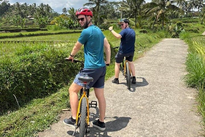 Kintamani Downhill Cycling: Ubud-to-Volcano Rice-Terrace Ride photo 3
