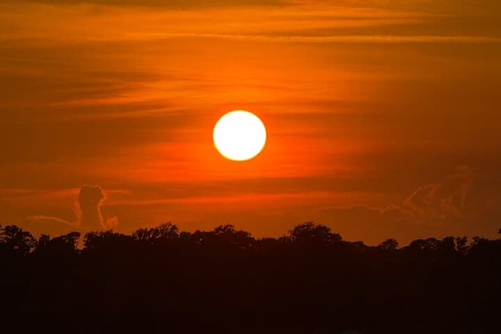 Wrightsville Beach Sunset Dolphin Cruise & Dolphin Watching Tour photo 4