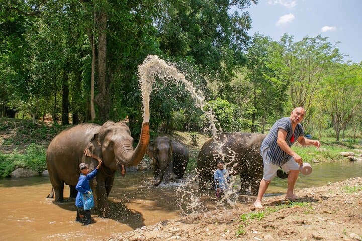 Chiang Mai Elephant Sanctuary & Sticky Waterfall Day Tour — Ethical Encounters and Climbable Falls photo 3