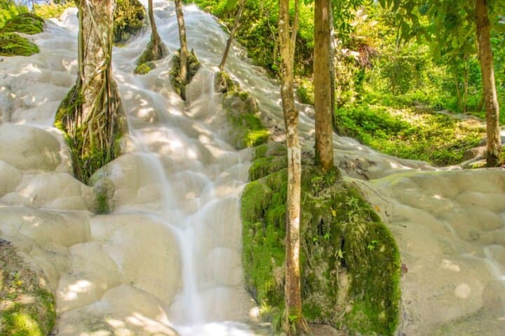 Chiang Mai Elephant Sanctuary & Sticky Waterfall Day Tour — Ethical Encounters and Climbable Falls photo 4