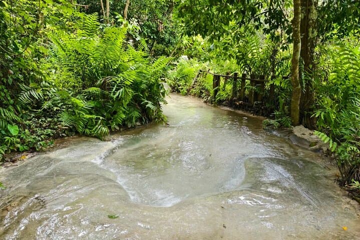 Chiang Mai Elephant Sanctuary & Sticky Waterfall Day Tour — Ethical Encounters and Climbable Falls photo 5
