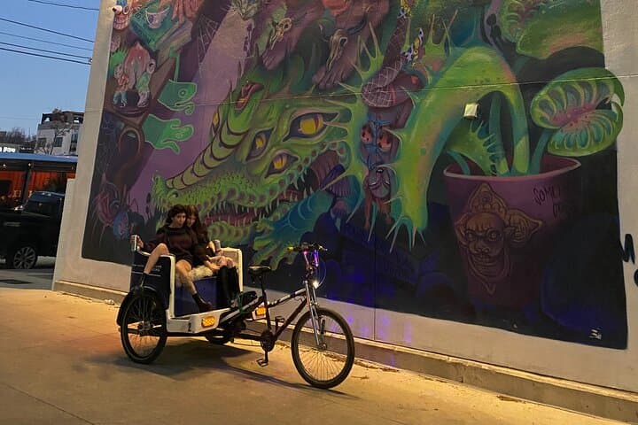 Electric Pedicab Austin Mural & Instagram Tour photo 5