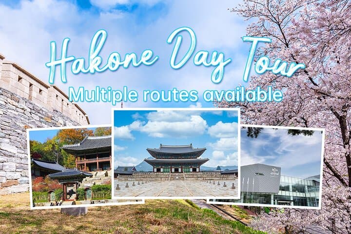 Hakone Lake Ashi & Owakudani Private Chauffeur: Lake Cruise, Ropeway, Onsen Day Tour photo 1