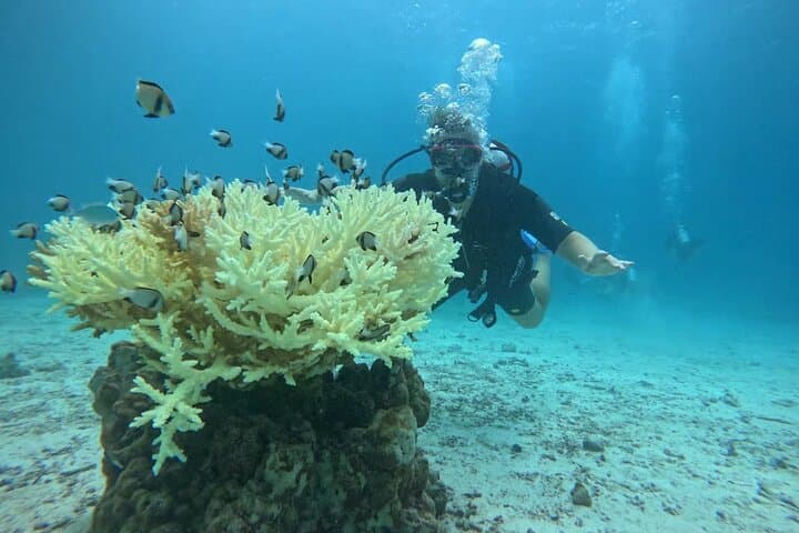 Phuket Racha PADI Discover Scuba Diving 2 Dives with GoPro