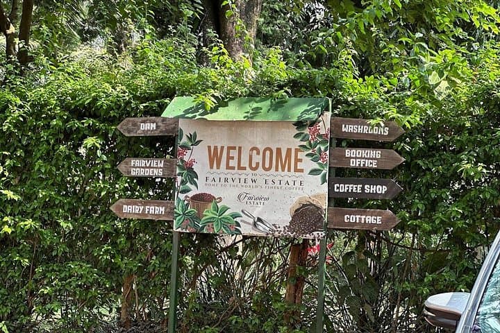 Kenya Coffee and Wildlife Safari: A 4-Day Journey through Aroma and Savanna photo 2