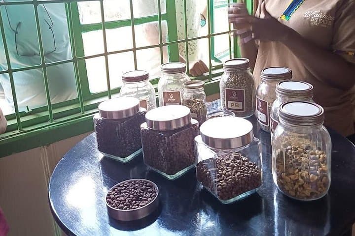 Kenya Coffee and Wildlife Safari: A 4-Day Journey through Aroma and Savanna photo 3