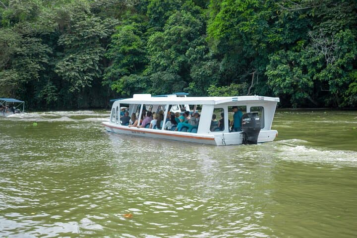 Tortuguero Canals & Jaguar Rescue Center Day Tour from Limón photo 3