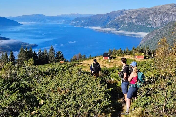 Guided Hike on Oksen Peninsula — Panoramic Hardangerfjord & Folgefonna Views photo 4