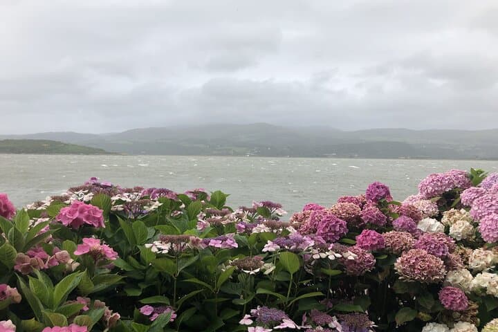 Holyhead to Portmeirion, Snowdonia & Llanberis: Full-Day Scenic Coach Tour photo 5