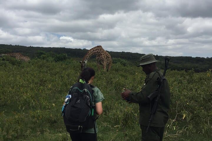 Mount Meru Trek & Walking Safari: 4-Day Summit, Sunrise Views & Wildlife photo 5