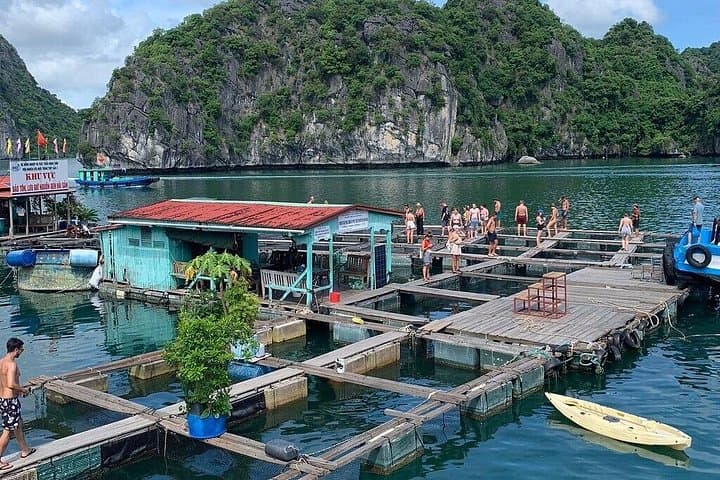 2-Day Cat Ba National Park & Lan Ha Bay Adventure — Kayak, Trek, Bioluminescence photo 1