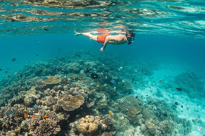 Full-Day Mnemba Snorkel, Turtle Swim & Sunset BBQ in Zanzibar photo 4