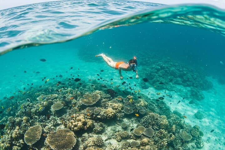 Full-Day Mnemba Snorkel, Turtle Swim & Sunset BBQ in Zanzibar photo 5