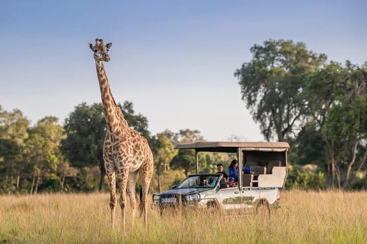 3-Day Masai Mara Governors' Camp Safari: Wildlife Drives & Migration Viewing photo 3