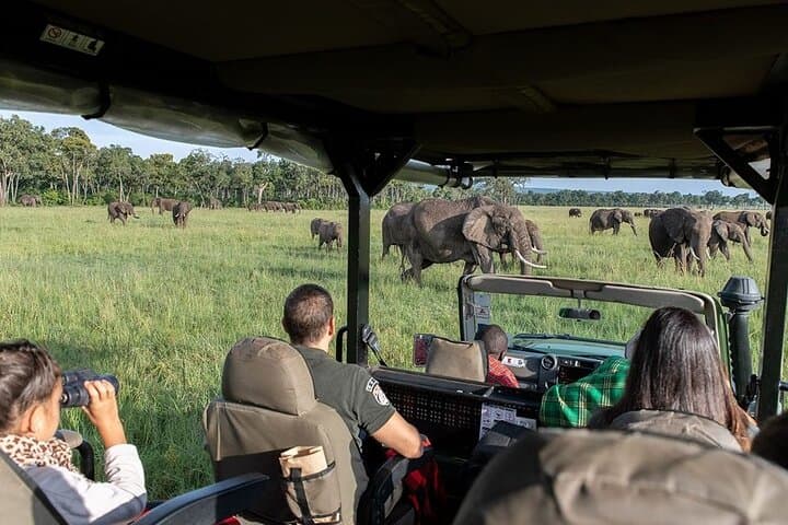 3-Day Masai Mara Governors' Camp Safari: Wildlife Drives & Migration Viewing photo 5