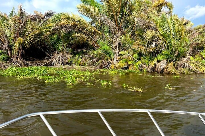 Kwanza River Cultural Boat Tour from Luanda — Moon Viewpoints & Museum of Slavery photo 4