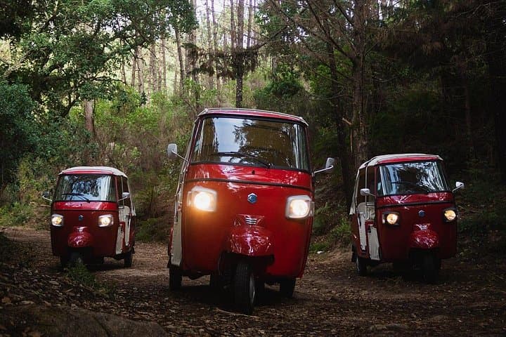 Sintra Tuk-Tuk Highlights: 4-Hour Guided Tour from Palaces to Cabo da Roca photo 4