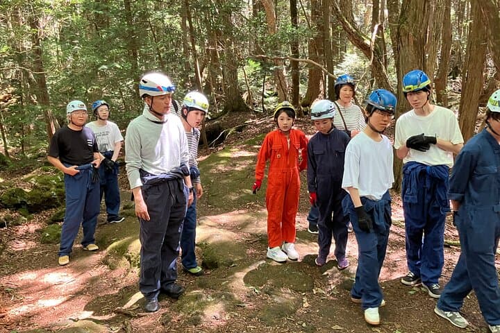 Mt. Fuji Ice Caves and Aokigahara Sea of Trees: Guided Forest Walk and Lava Cave Tour photo 3