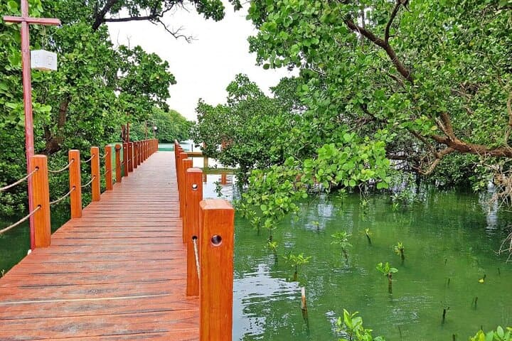 Explore Boracay by E-Trike: 2-Hour Private Inland Tour to Puka Shell, Mt Luho & Ati Village photo 2