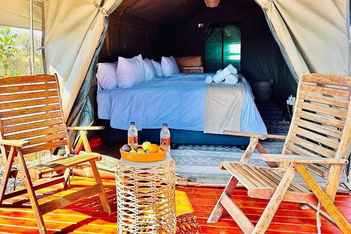 3-Day Tlou Tented Safari Camp: Pilanesberg Big Five Glamping Experience