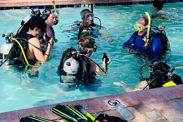 Key Largo Discover Scuba: Two-Hour Pool Training at Bayside Inn photo 5