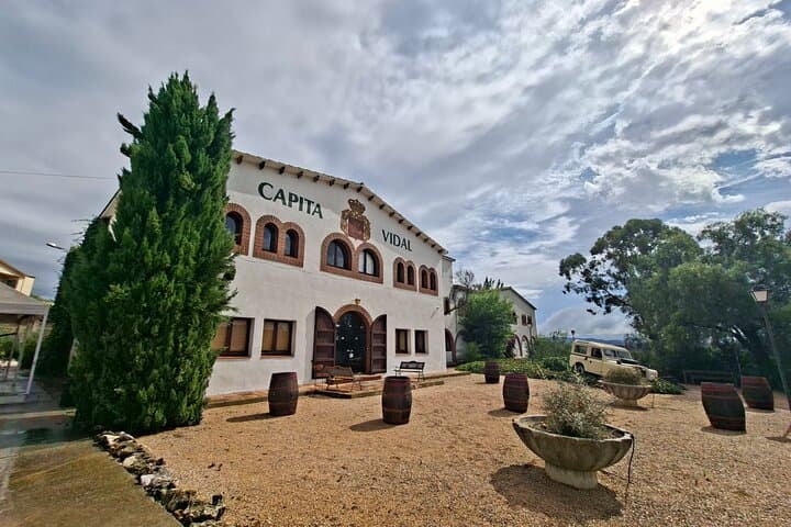 Montserrat and Sitges Private Day Tour from Barcelona — Monastery, Coast & Wine photo 6