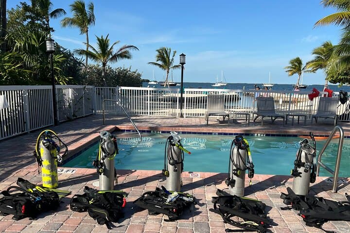 Key Largo Discover Scuba: Two-Hour Pool Training at Bayside Inn photo 6