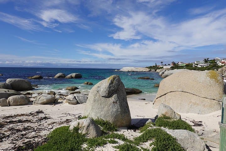 Private Cape Point & Boulders Beach Tour — Penguins, Chapman’s Peak, and Cape of Good Hope photo 4