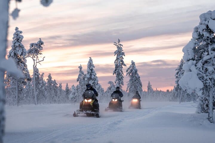 Private 2-Hour Snowmobile Adventure in Levi — Arctic Trails & Fireside Breaks