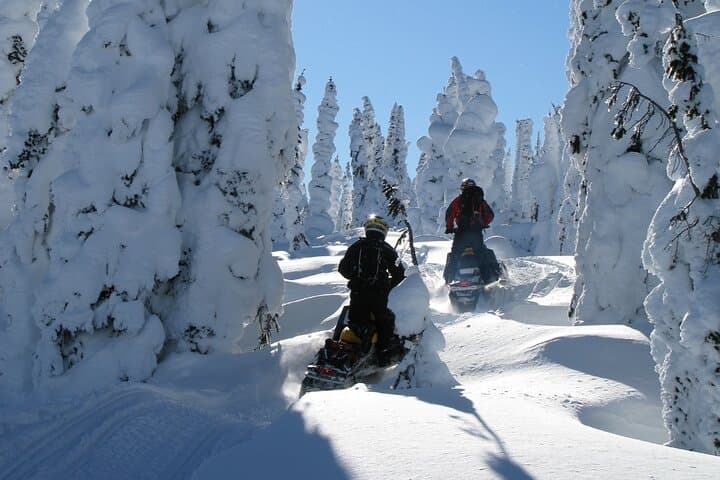 Private 2-Hour Snowmobile Adventure in Levi — Arctic Trails & Fireside Breaks photo 2