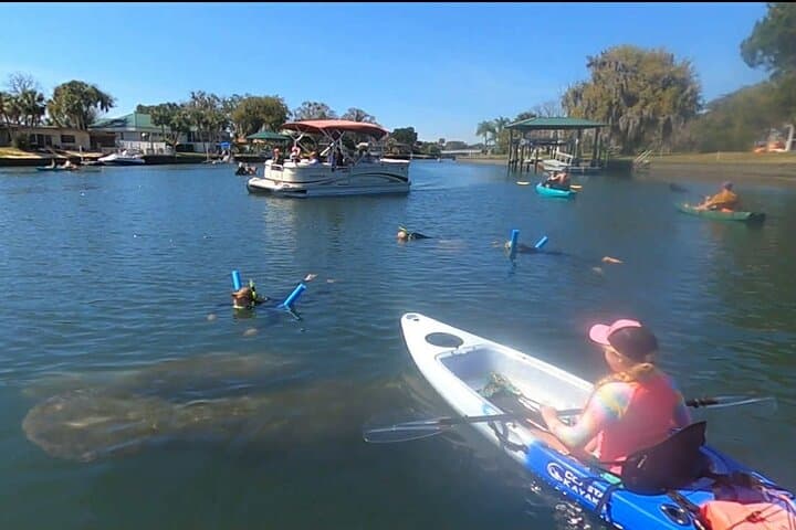 Crystal River Sunrise Kayak Tour with Manatees in Kings Bay photo 5
