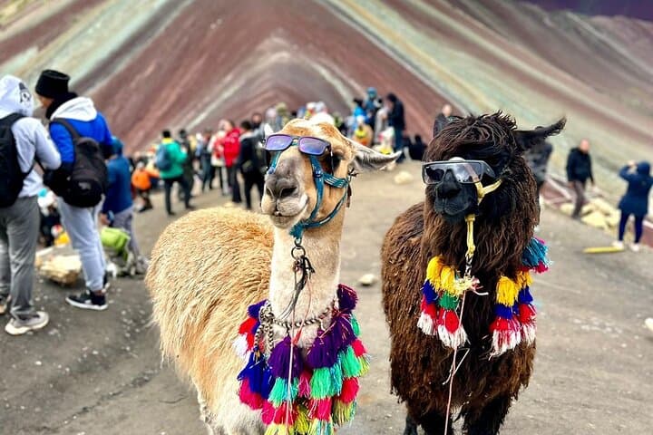 Vinicunca (Rainbow Mountain) Short-Route Trek from Cusco: Day Tour to 5,036 m photo 5