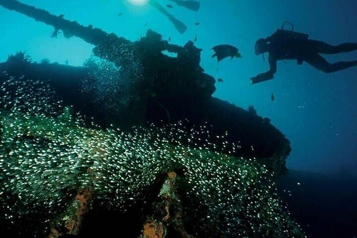 Scuba Diving in Pasikudah: Guided Reef Dives & Turtle Encounters